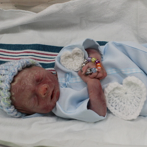 Team Page: Flitch's Friends